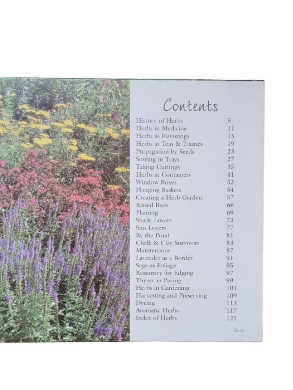 🌿 Herb Gardening – Illustrated Guidebook Perfect for Beginners - Picture 3 of 4
